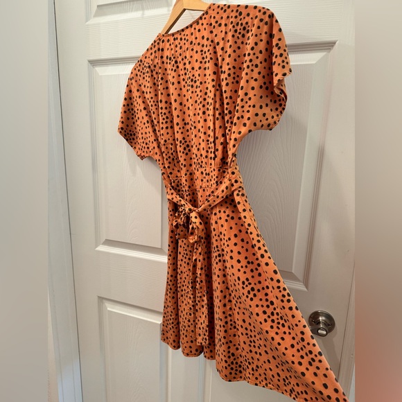 Marine Layer Cheetah Dress - Picture 14 of 15